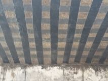山東碳纖維国产日皮视频