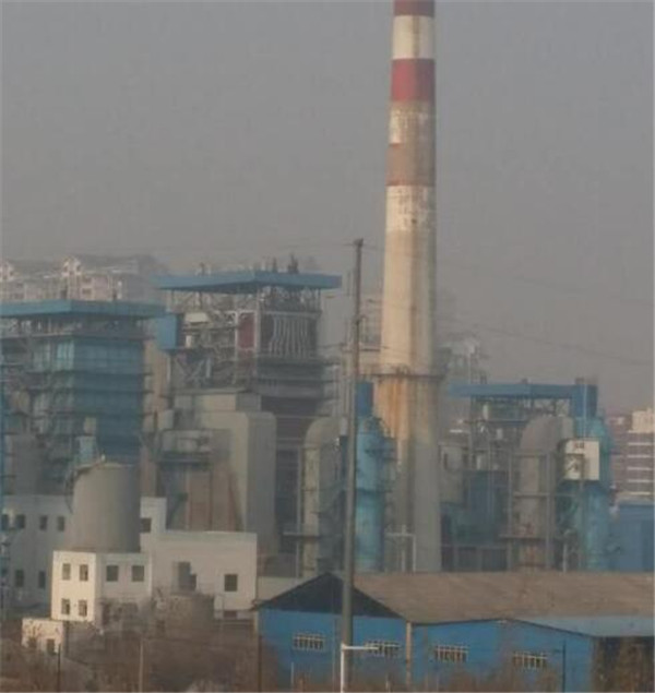 熱電廠国产日皮视频