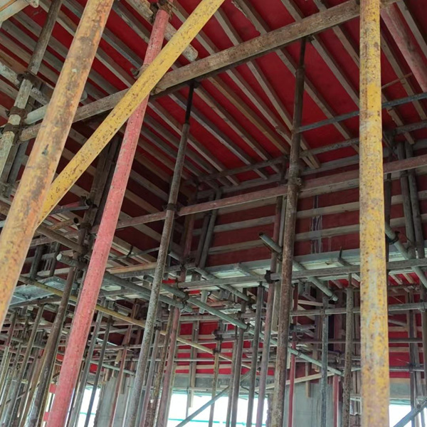 樓房国产日皮视频公司